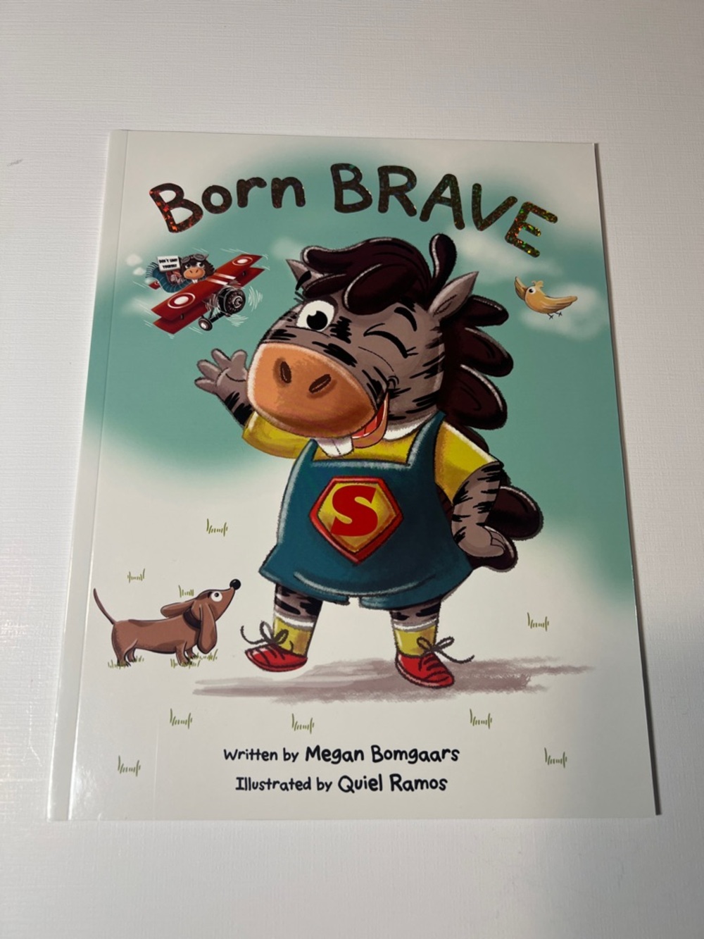 Born Brave, Children's Picture Book